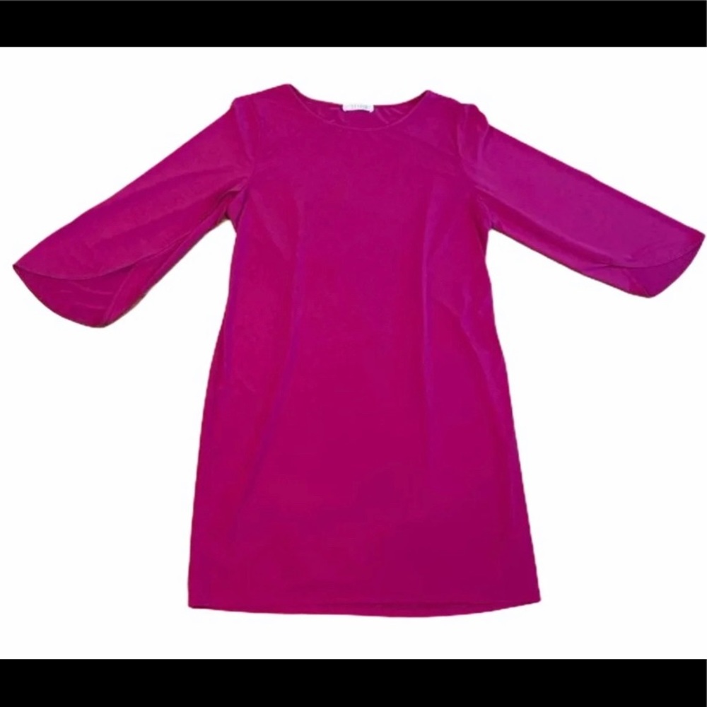 Spense Dress With Split Sleeves